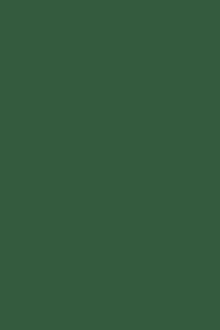 PS24-06L-GRN - Pants