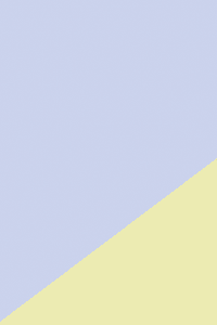 PS25FW-05O-BY - Bikini